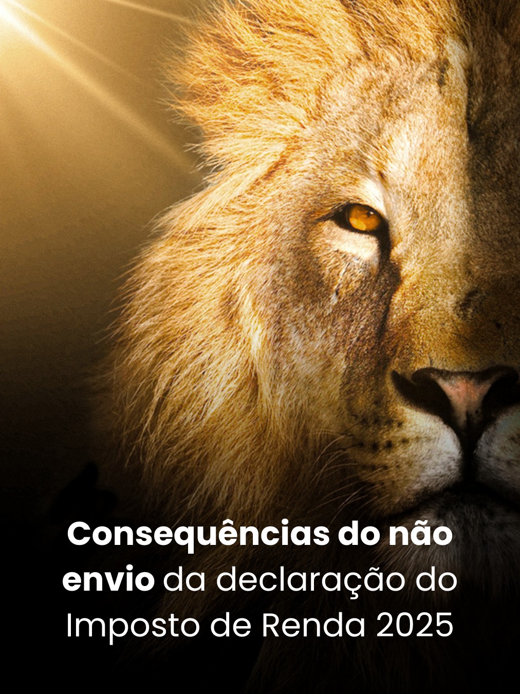 Consequências do não envio da declaração do Imposto de Renda 2025