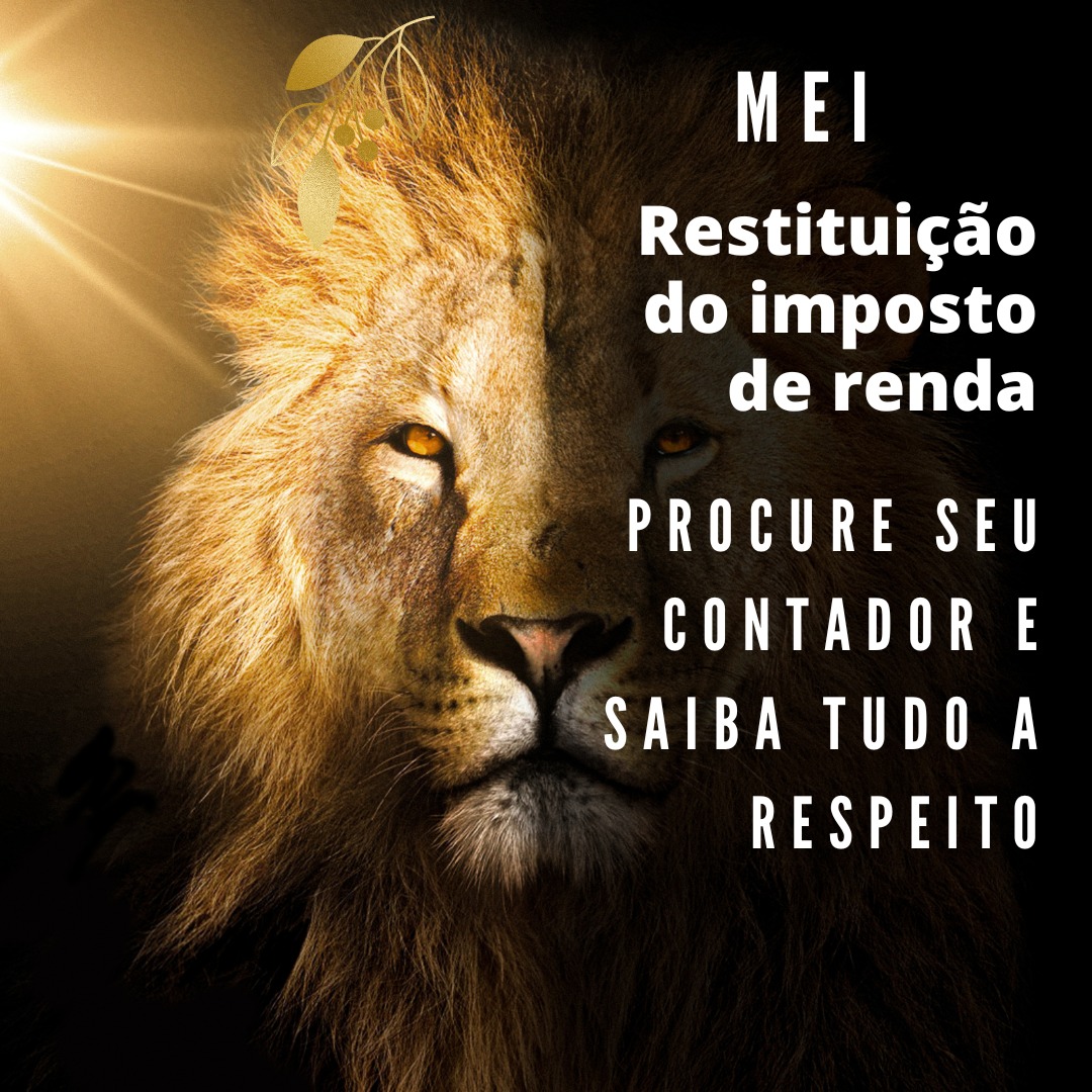 MEI tem direito à restituição do Imposto de Renda?