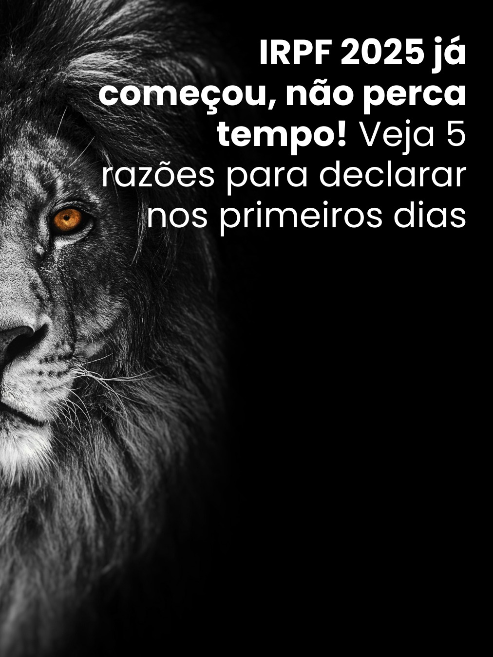IRPF 2025 já começou, não perca tempo! Veja 5 razões para declarar nos primeiros dias